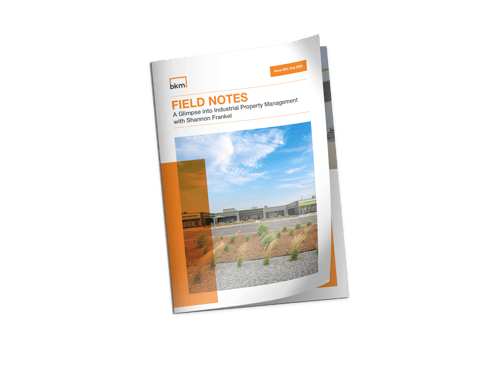 Book Cover Mockup-Nov-04-2025-12-47-09-2896-AM