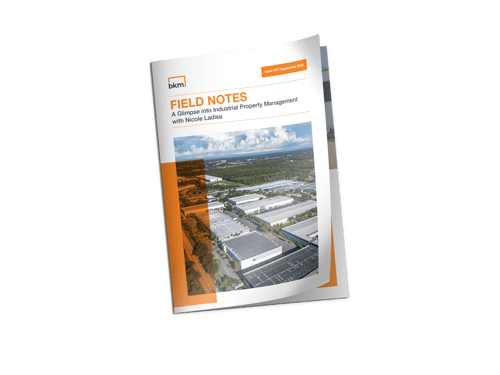 Book Cover Mockup-Nov-04-2025-12-50-40-6971-AM